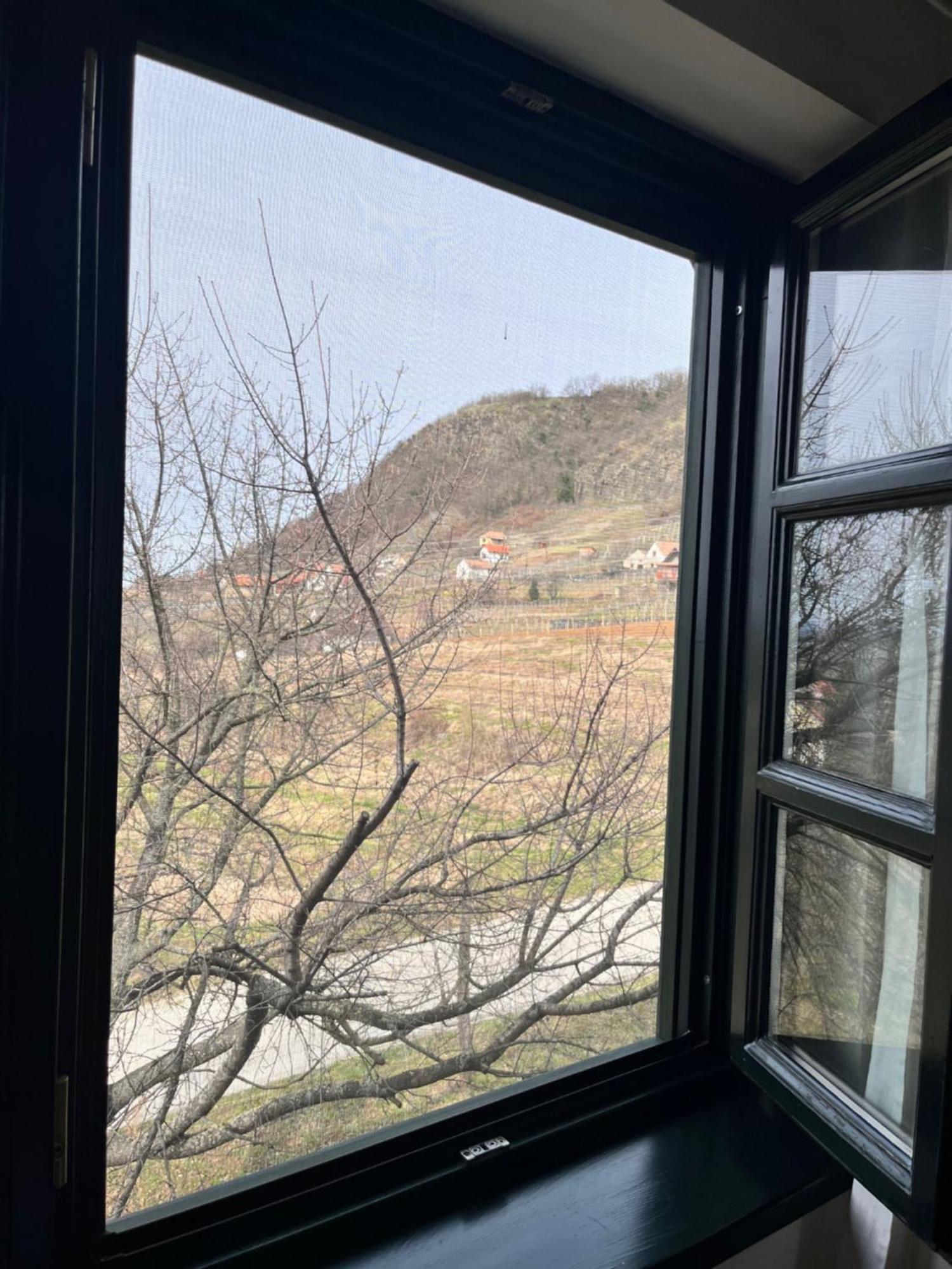 Somlo Wineshop Guesthouse Somlovasarhely 외부 사진
