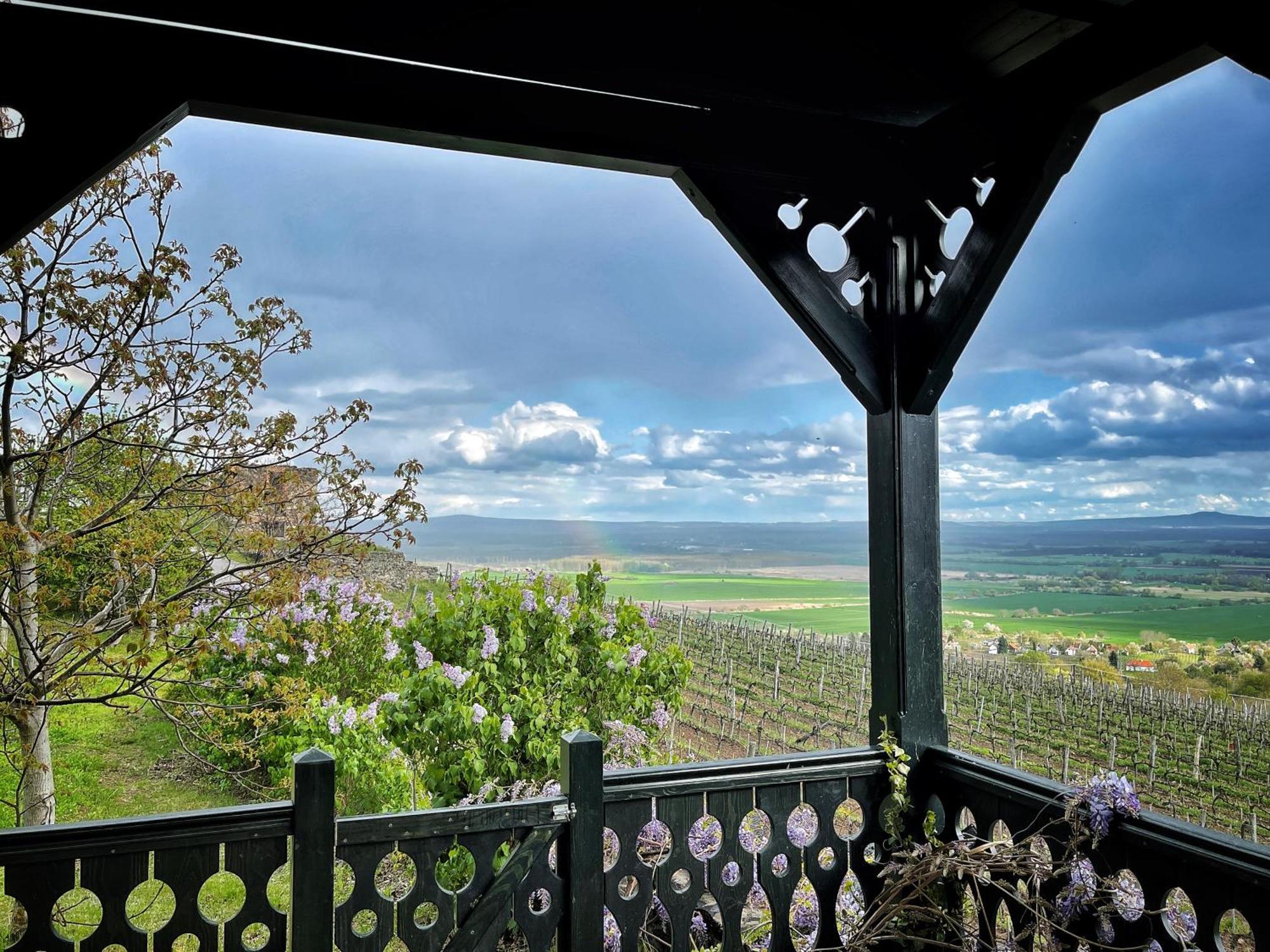 Somlo Wineshop Guesthouse Somlovasarhely 외부 사진