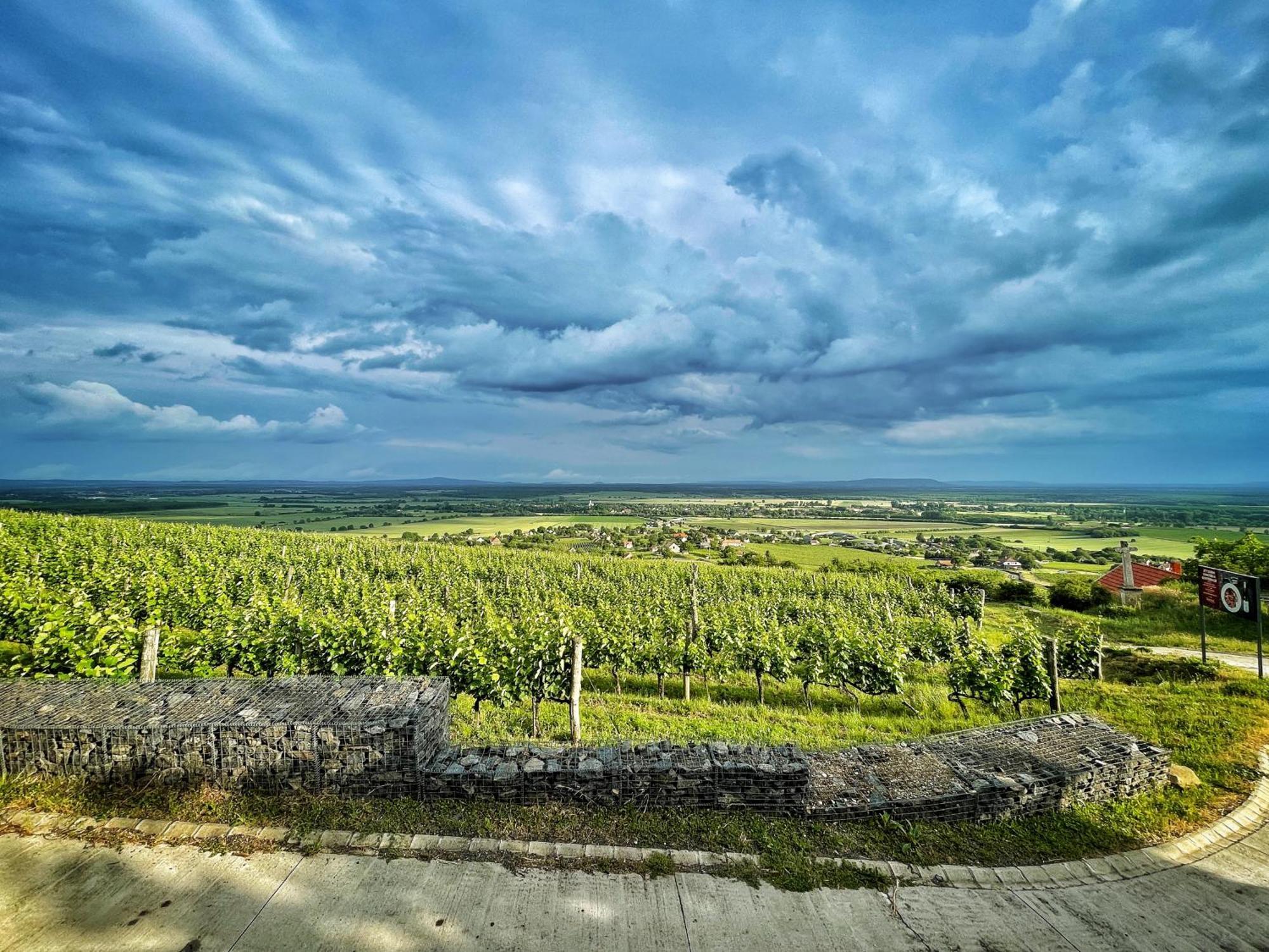 Somlo Wineshop Guesthouse Somlovasarhely 외부 사진