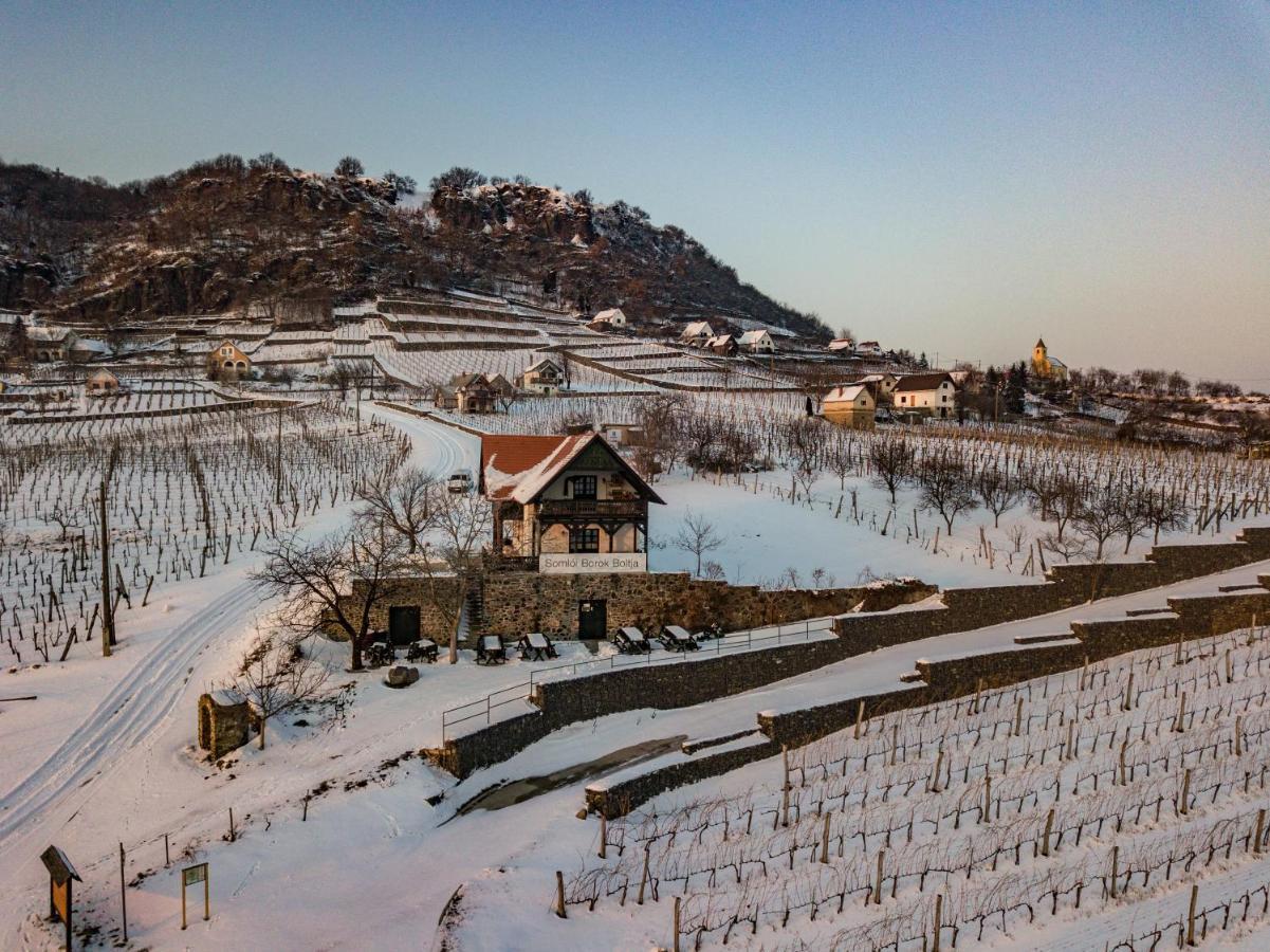 Somlo Wineshop Guesthouse Somlovasarhely 외부 사진